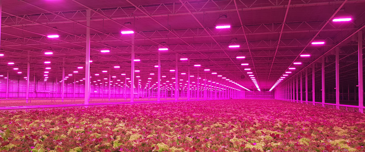Horticulture lighting shop led market