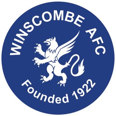 Winscombe AFC logo - Football LED Lighting